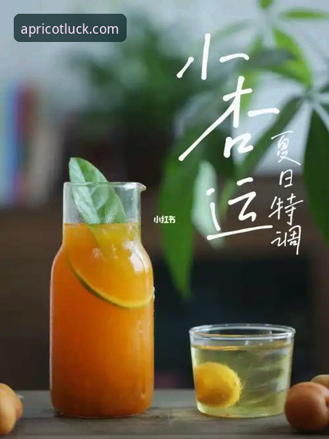 杏运好不好用使用技巧？新手必看的5个高效操作指南